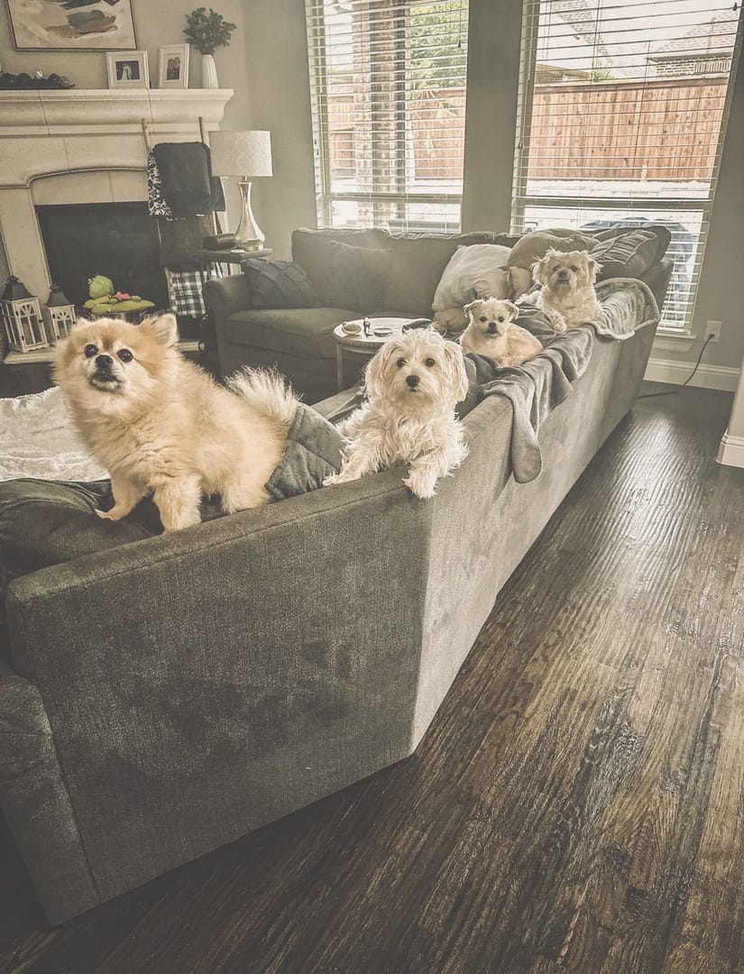 Why I Started RoofDog: A Roofer With a Bigger Purpose